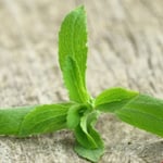 natreen stevia plant